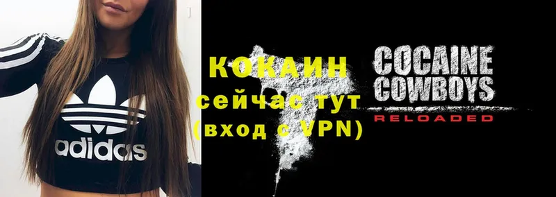 kraken онион  Омск  Cocaine Эквадор 