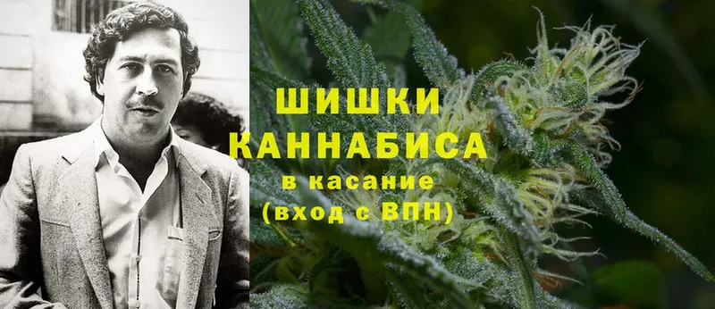 где купить наркоту  Омск  Шишки марихуана Amnesia 